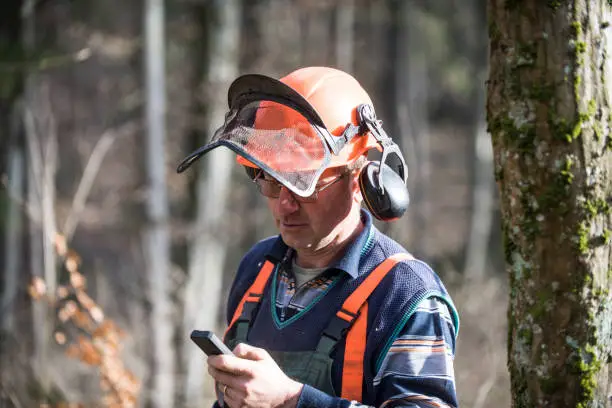 Forestry worker